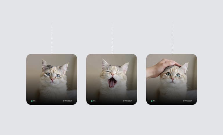 Cat variations on infinite canvas with branching nodes