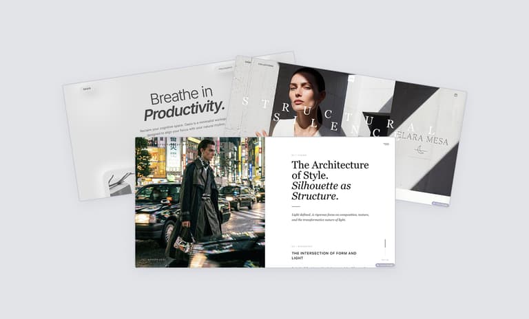 Multiple professional website examples