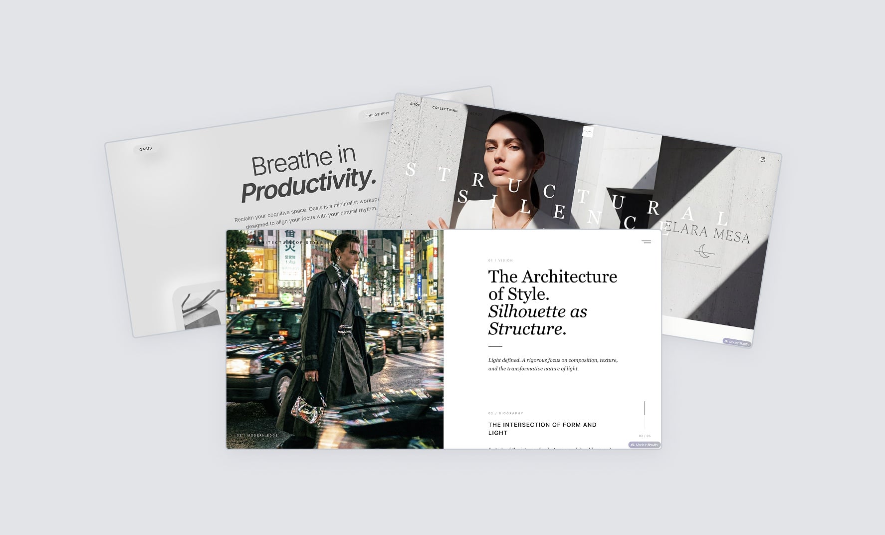 Multiple professional website examples